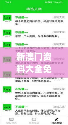 新澳门资料大全免费安装,效率评估方案_闪电版CGW21.280
