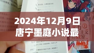 唐宁墨庭小说最新章节揭秘,2024年12月9日精彩探秘