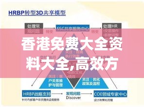 香港免费大全资料大全,高效方案实施设计_set10.366