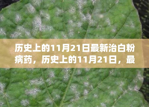 平板电脑 第499页