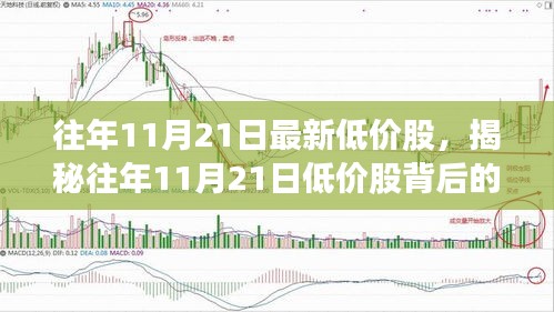 揭秘往年11月21日低价股背后的故事与小巷深处的特色小店探秘之旅
