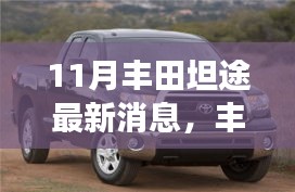 投影仪 第506页