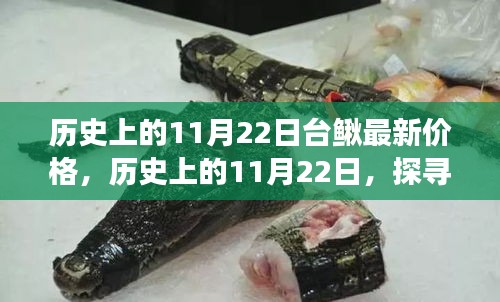 平板电脑 第490页