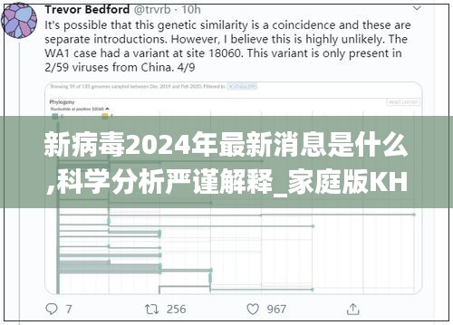 新病毒2024年最新消息是什么,科学分析严谨解释_家庭版KHR5.50