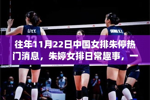 电视机 第498页