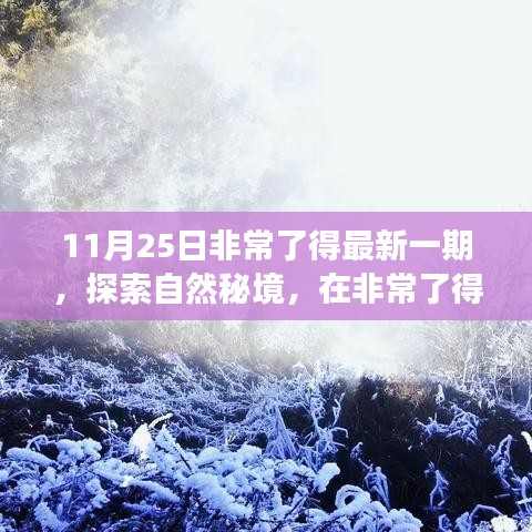 售后服务 第526页