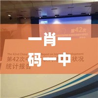 投影仪 第527页
