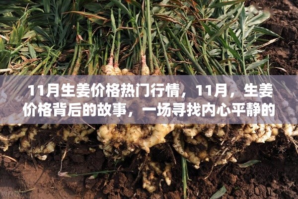废寝忘食 第33页