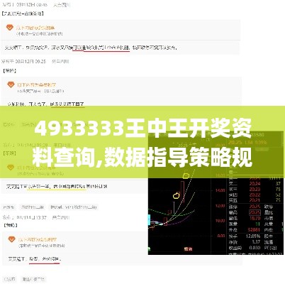 4933333王中王开奖资料查询,数据指导策略规划_闪电版PQI13.75