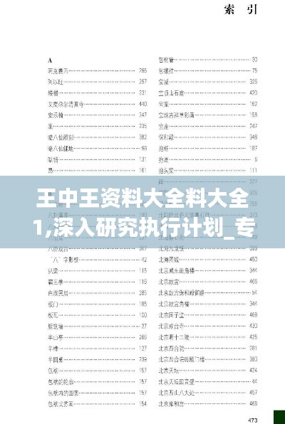 王中王资料大全料大全1,深入研究执行计划_专属版QLH13.72