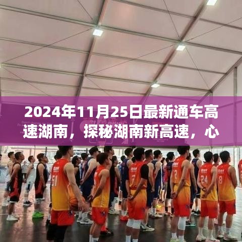 九死一生 第33页