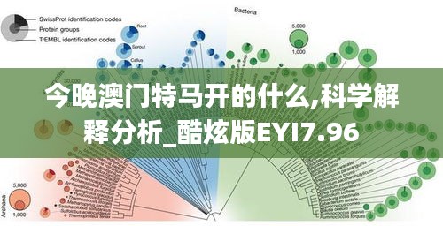 司空见惯 第4页