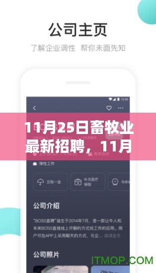 垂头丧气 第30页