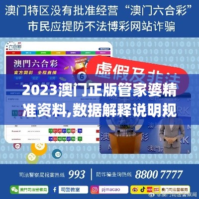 2023澳门正版管家婆精准资料,数据解释说明规划_世界版SJP13.40