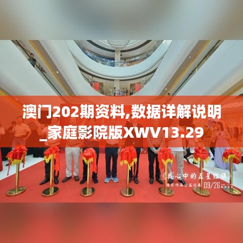澳门202期资料,数据详解说明_家庭影院版XWV13.29