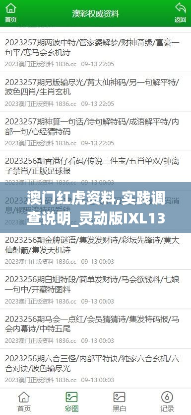 澳门红虎资料,实践调查说明_灵动版IXL13.72