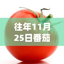 浅笑轻吟梦一曲 第33页