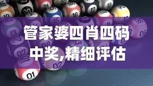 管家婆四肖四码中奖,精细评估方案_定制版QPG13.95