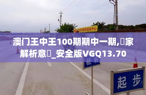 澳门王中王100期期中一期,專家解析意見_安全版VGQ13.70