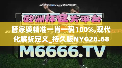 管家婆精准一肖一码100%,现代化解析定义_持久版NYG28.687