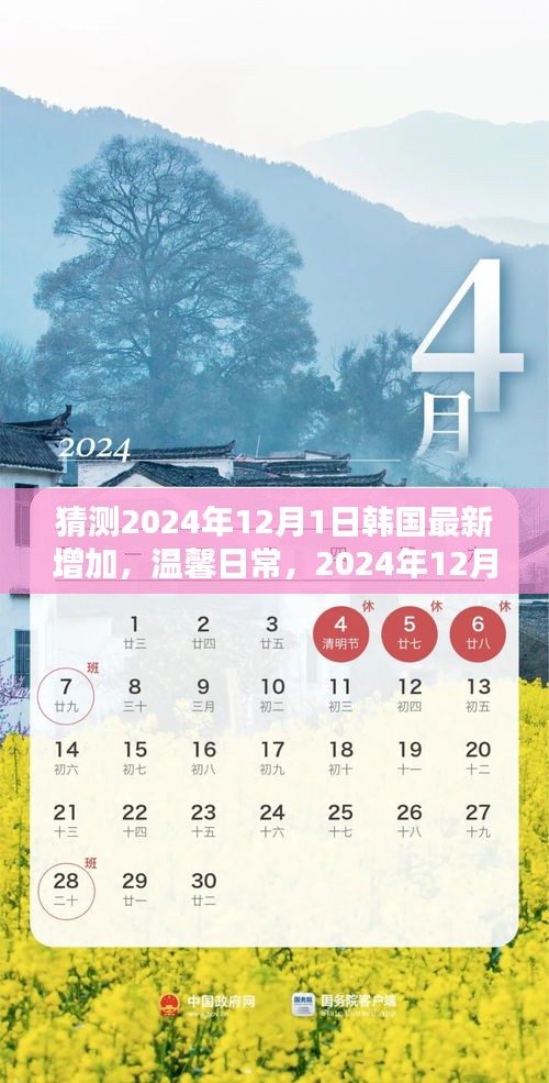 花开无言 第25页