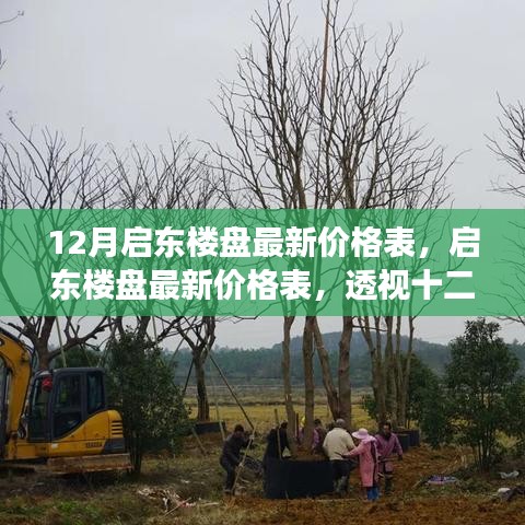 透视启东地产风云，十二月楼盘最新价格表与格局变迁
