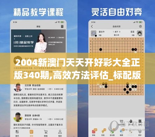 2004新澳门天天开好彩大全正版340期,高效方法评估_标配版5.242-4