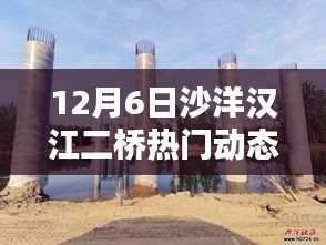 动态回顾