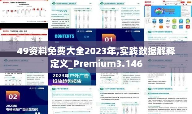 49资料免费大全2023年,实践数据解释定义_Premium3.146
