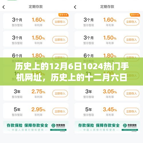 风驰电掣 第24页