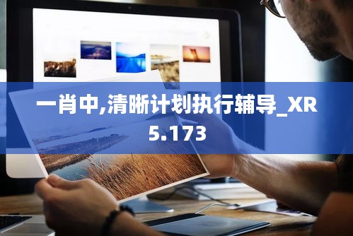 一肖中,清晰计划执行辅导_XR5.173