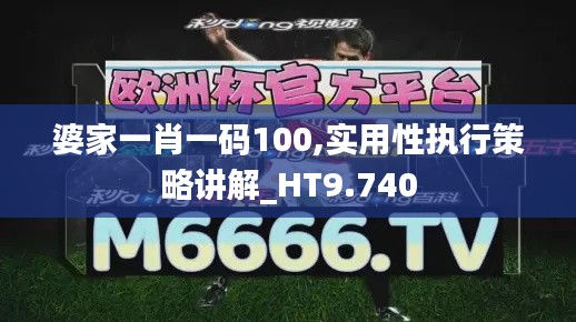 婆家一肖一码100,实用性执行策略讲解_HT9.740