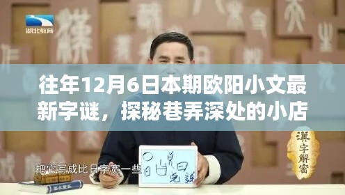 欧阳小文最新字谜探秘,巷弄深处的小店之字谜乐园揭秘