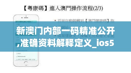 新澳门内部一码精准公开,准确资料解释定义_ios5.189