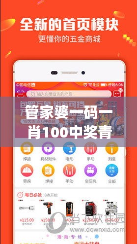 衣无二彩 第3页
