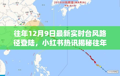 走马观花 第25页