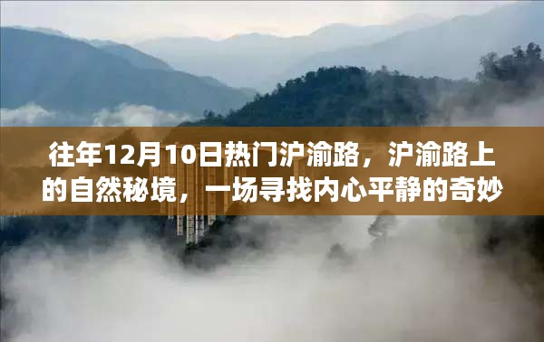 寻找内心平静