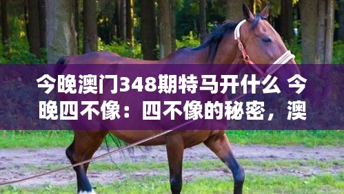 雪中送炭 第3页