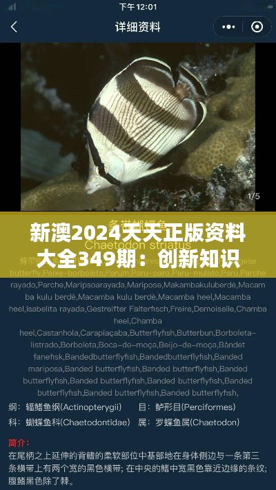 国色天香 第2页