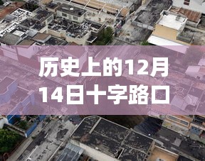 初告白 第19页