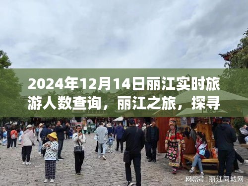 自然秘境探寻