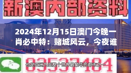 炙手可热 第3页