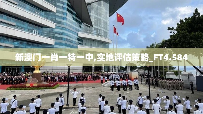 新澳门一肖一特一中,实地评估策略_FT4.584