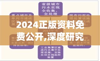 2024正版资料免费公开,深度研究解释：透明度提升与学术研究的深化
