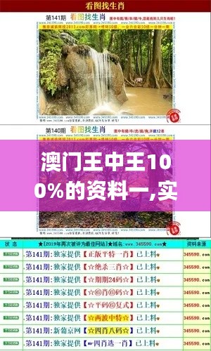 澳门王中王100%的资料一,实地解析说明_XR17.189