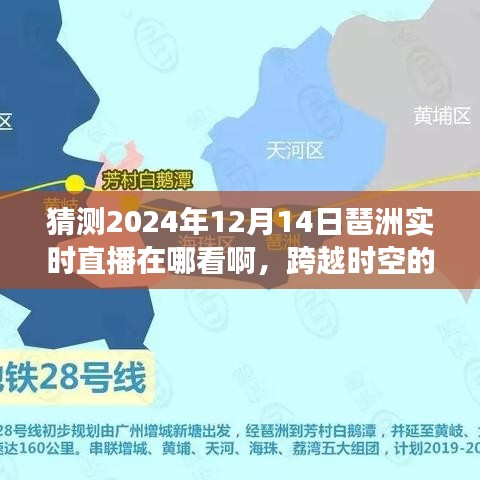 云烟 第15页