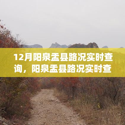 优劣分析