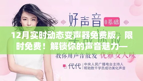 花开无言 第15页