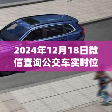 初学者与进阶用户必备技能