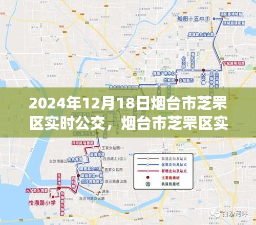 花开无言 第14页